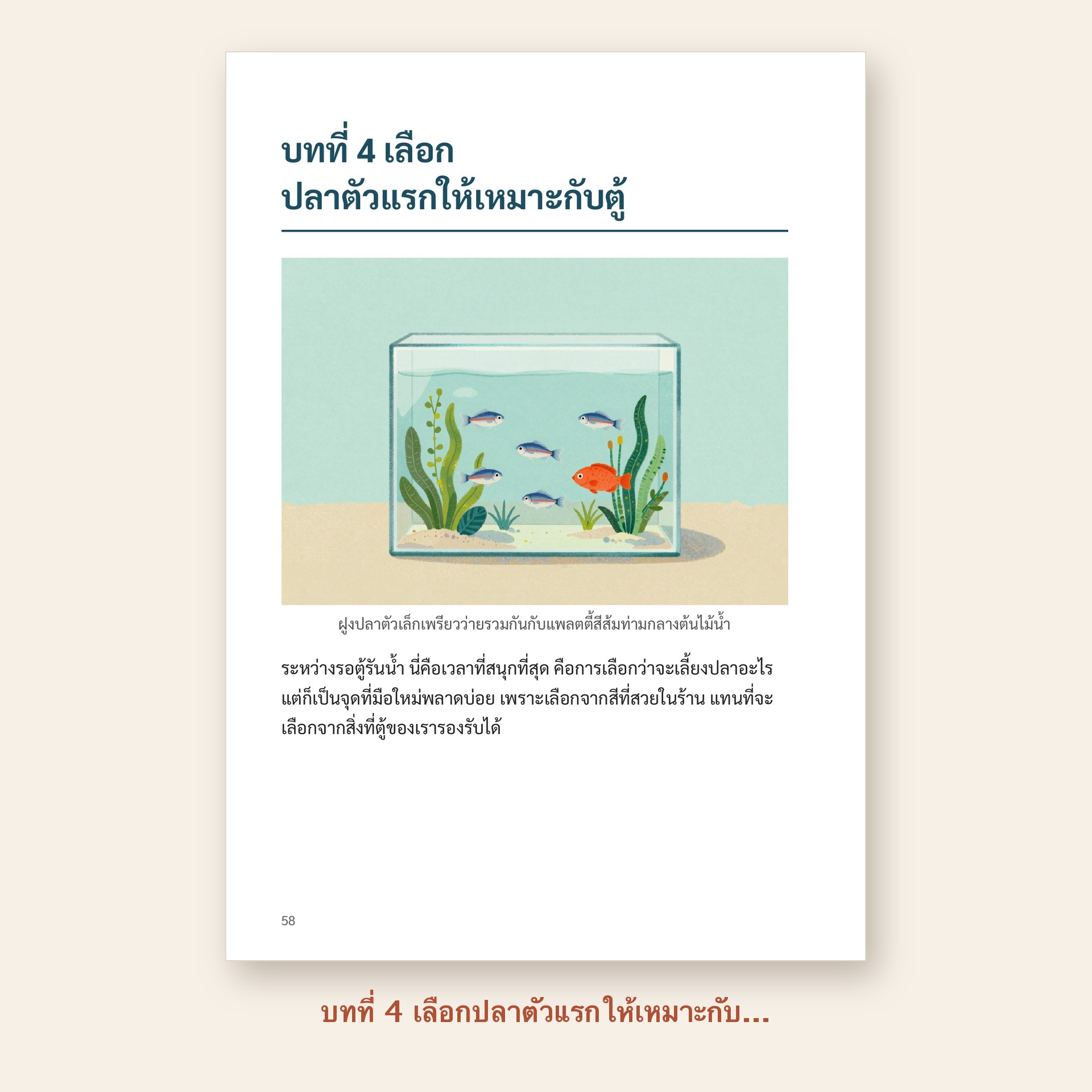 ตัวอย่างหน้า บทที่ 4 เลือกปลาตัวแรกให้เหมาะกับตู้