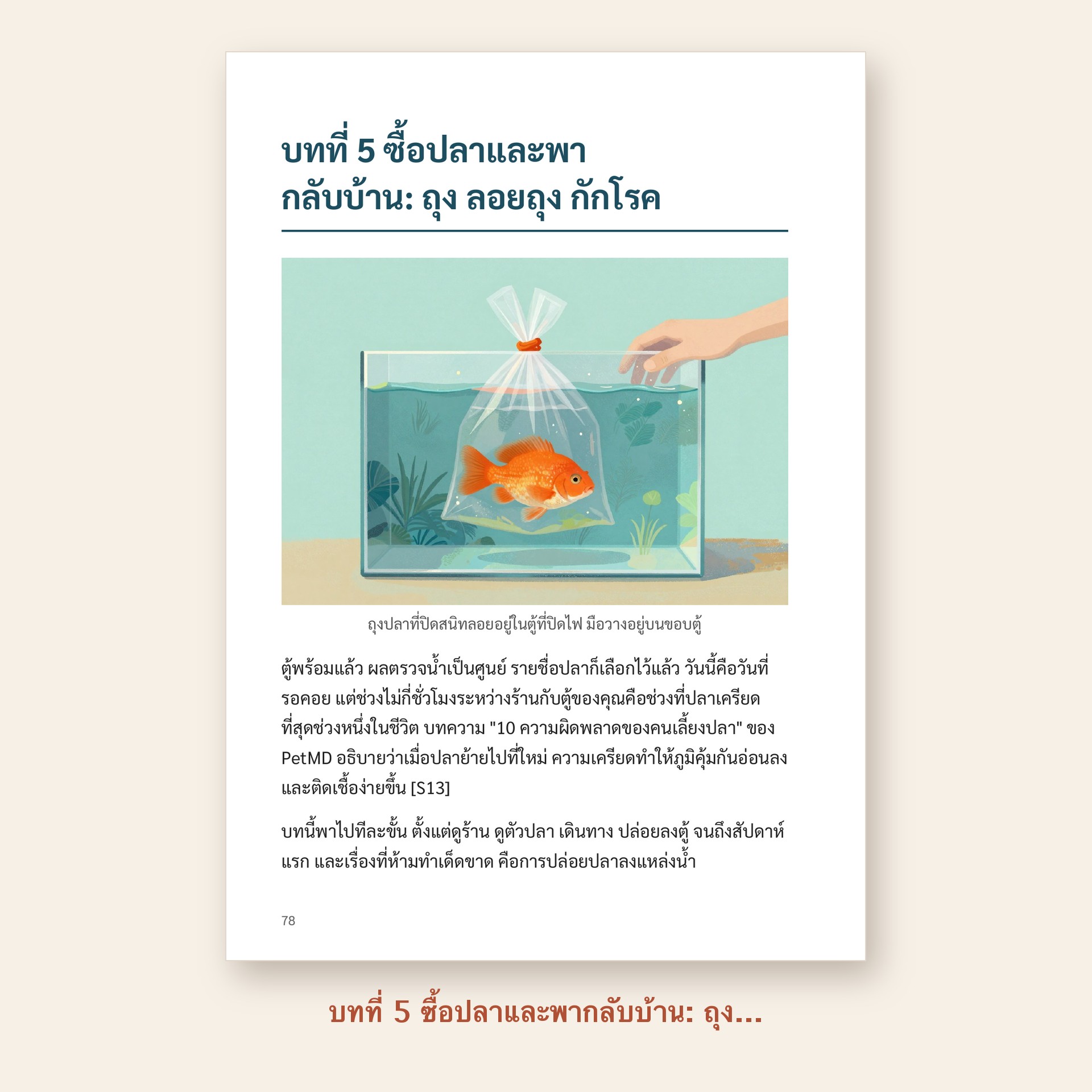 ตัวอย่างหน้า บทที่ 5 ซื้อปลาและพากลับบ้าน: ถุง ลอยถุง กักโรค