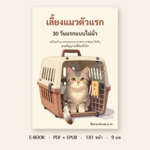 ปกหนังสือ เลี้ยงแมวตัวแรก: 30 วันแรกแบบไม่มั่ว