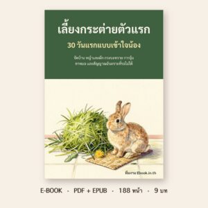 ปกหนังสือ เลี้ยงกระต่ายตัวแรก: 30 วันแรกแบบเข้าใจน้อง